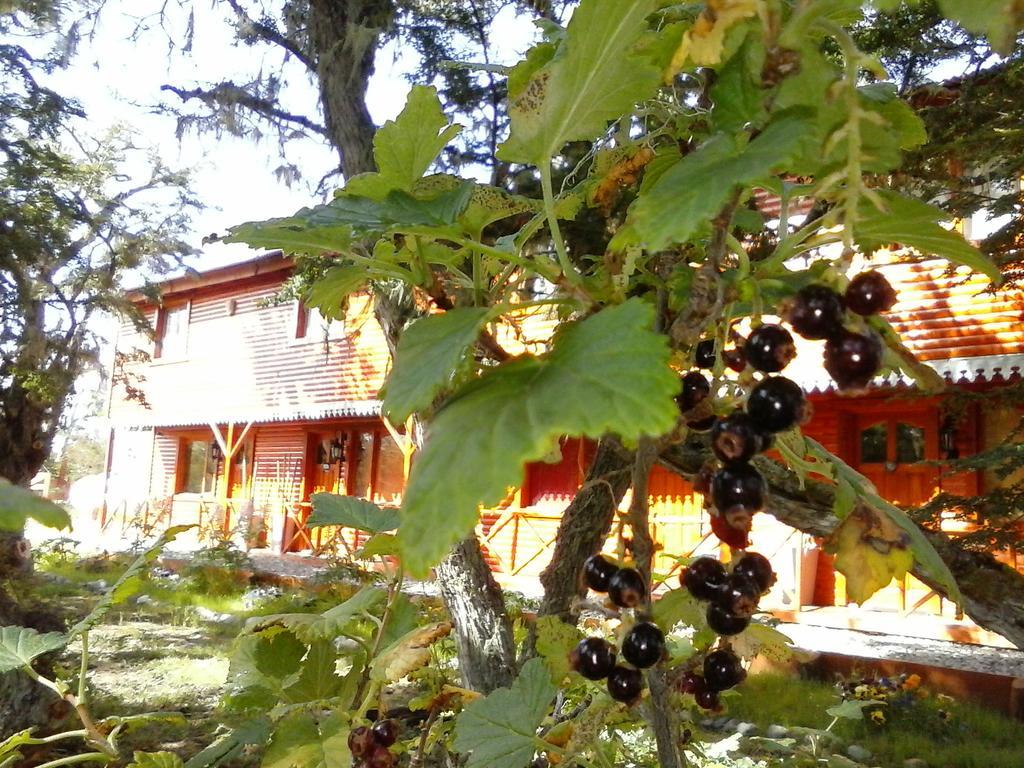 Altos De Tolhuin Apartment Cameră foto